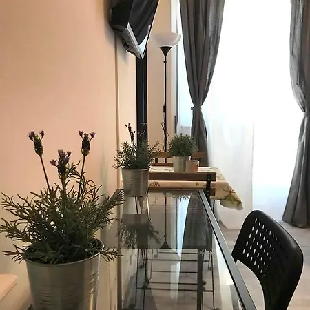 Mandala Viterbo