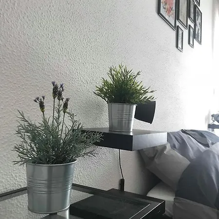 Mandala Bed and Breakfast 3*